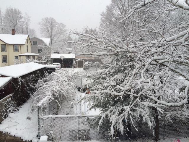 snow1.thumb.JPG.1efc14b51c003220fcbdcf66